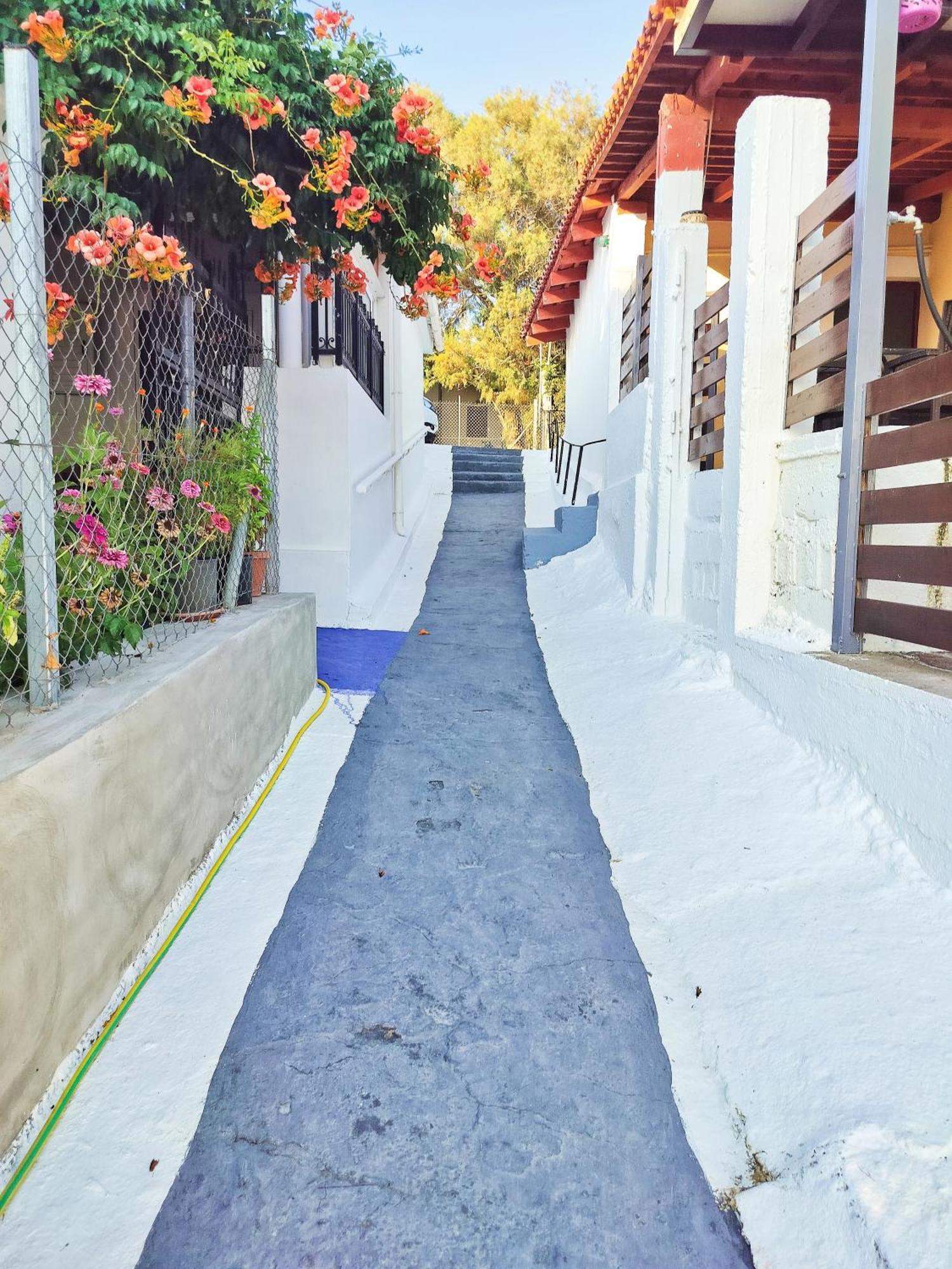 Front House At Agios Ilias Pyrgos Near Ancient Olympia