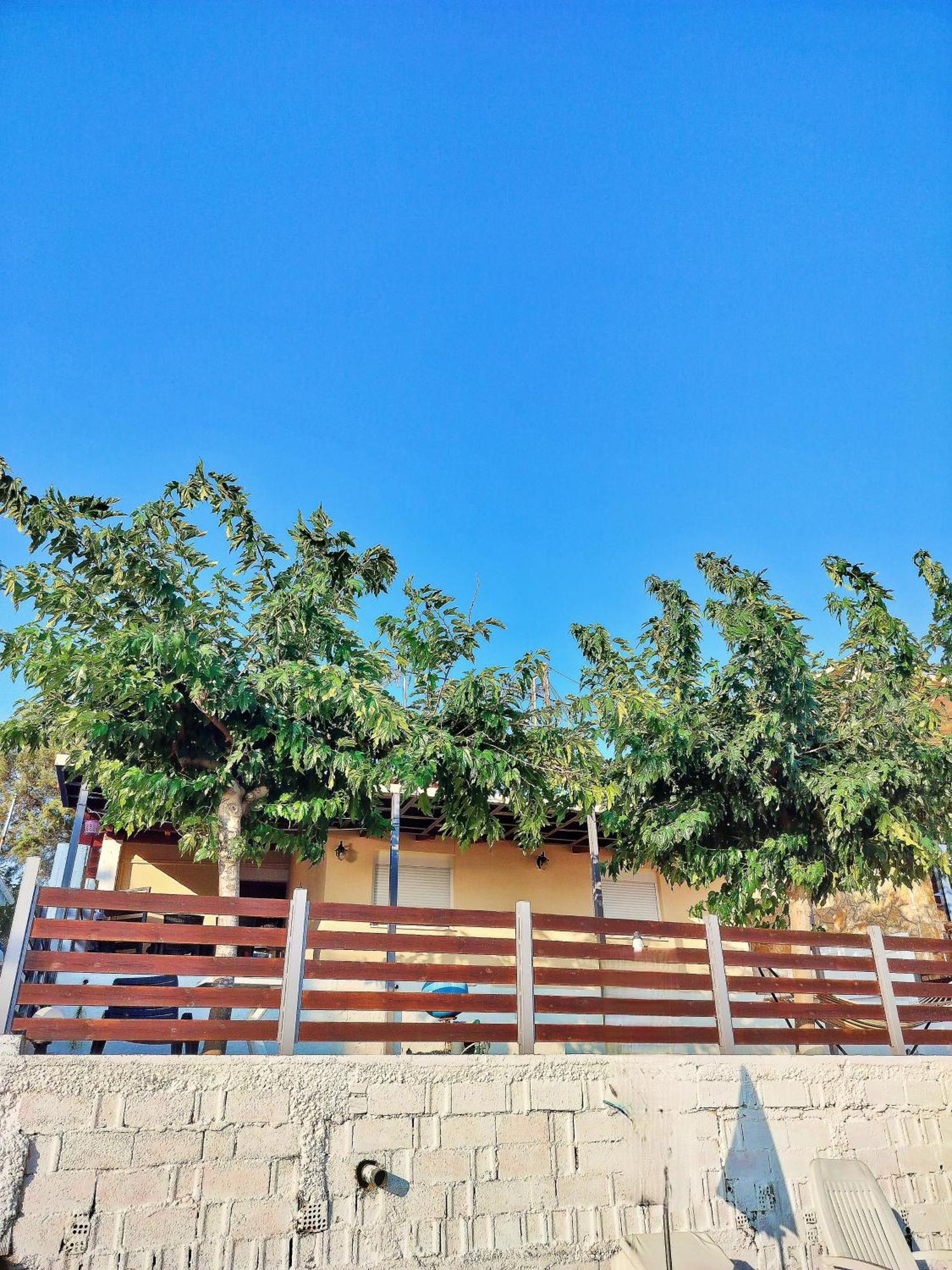 Front House At Agios Ilias Pyrgos Near Ancient Olympia Holiday home *