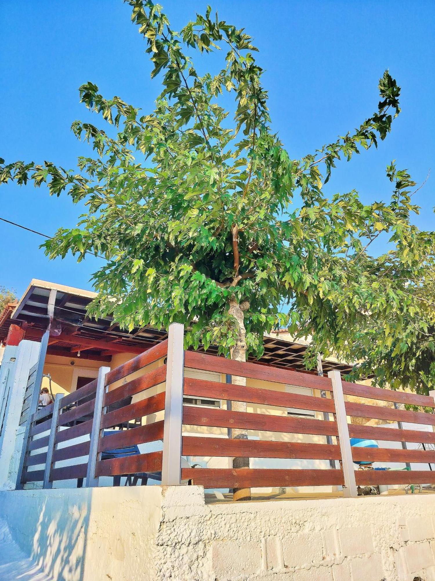 Holiday home Front House At Agios Ilias Pyrgos Near Ancient Olympia *