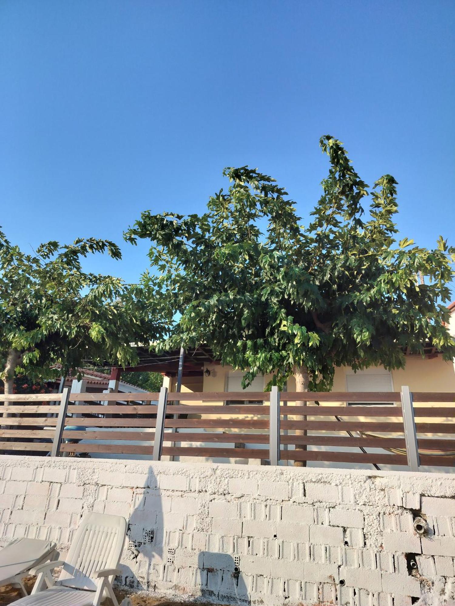 Holiday home Front House At Agios Ilias Pyrgos Near Ancient Olympia